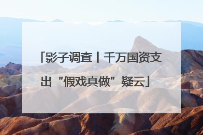 影子调查丨千万国资支出“假戏真做”疑云