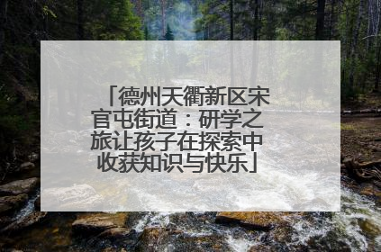 德州天衢新区宋官屯街道：研学之旅让孩子在探索中收获知识与快乐