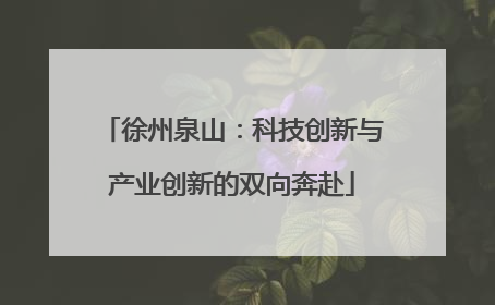 徐州泉山：科技创新与产业创新的双向奔赴