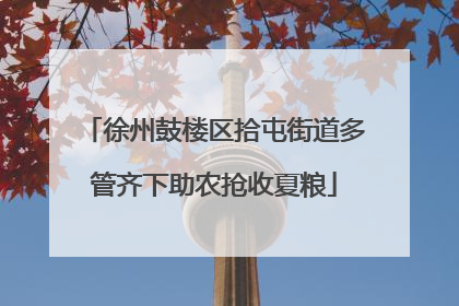 徐州鼓楼区拾屯街道多管齐下助农抢收夏粮