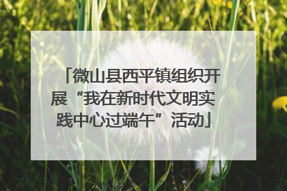 微山县西平镇组织开展“我在新时代文明实践中心过端午”活动