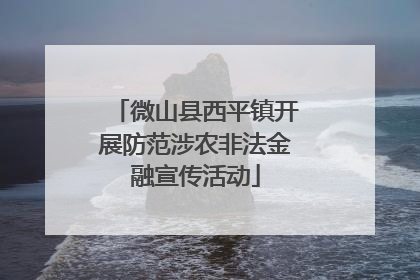 微山县西平镇开展防范涉农非法金融宣传活动