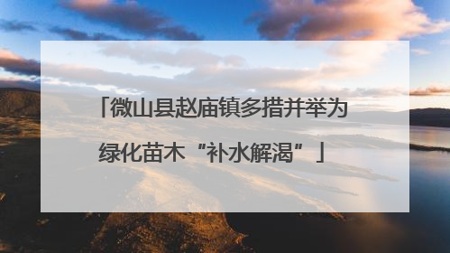 微山县赵庙镇多措并举为绿化苗木“补水解渴”