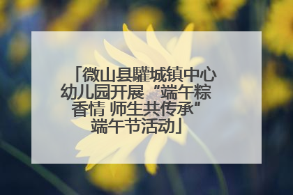 微山县驩城镇中心幼儿园开展“端午粽香情 师生共传承”端午节活动