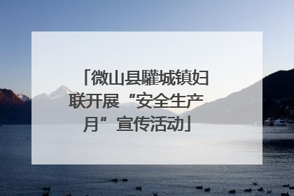 微山县驩城镇妇联开展“安全生产月”宣传活动