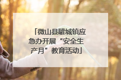 微山县驩城镇应急办开展“安全生产月”教育活动