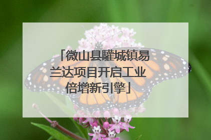 微山县驩城镇易兰达项目开启工业倍增新引擎