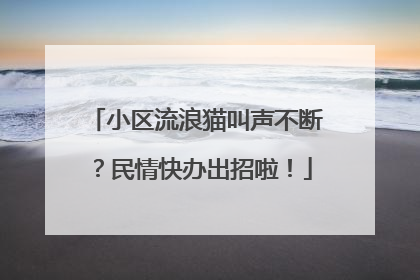 小区流浪猫叫声不断？民情快办出招啦！