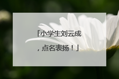 小学生刘云成，点名表扬！