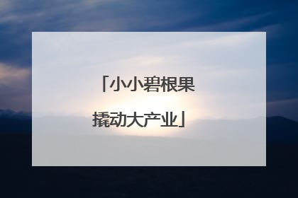小小碧根果撬动大产业