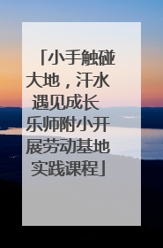小手触碰大地，汗水遇见成长 乐师附小开展劳动基地实践课程