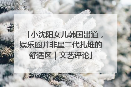小沈阳女儿韩国出道，娱乐圈并非星二代扎堆的舒适区｜文艺评论