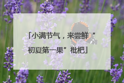 小满节气，来尝鲜“初夏第一果”枇杷