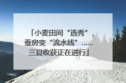 小麦田间“选秀”、蚕房变“流水线”……三夏收获正在进行