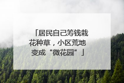 居民自己筹钱栽花种草，小区荒地变成“微花园”