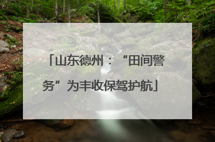 山东德州：“田间警务”为丰收保驾护航