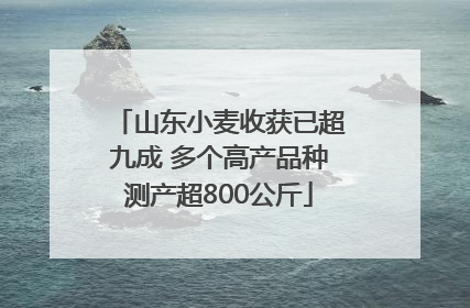 山东小麦收获已超九成 多个高产品种测产超800公斤