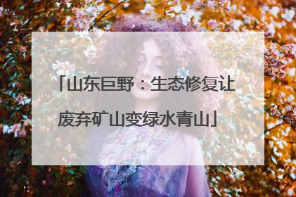山东巨野：生态修复让废弃矿山变绿水青山