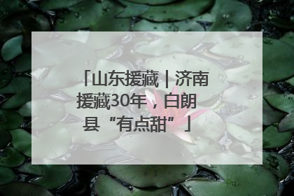 山东援藏｜济南援藏30年，白朗县“有点甜”