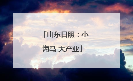 山东日照：小海马 大产业