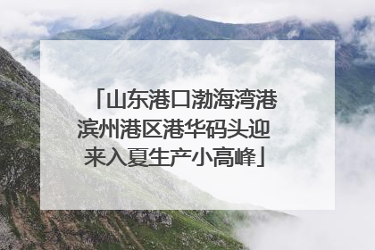 山东港口渤海湾港滨州港区港华码头迎来入夏生产小高峰