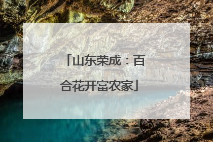 山东荣成：百合花开富农家