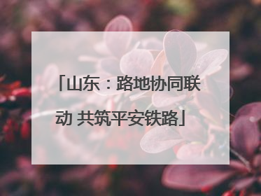 山东：路地协同联动 共筑平安铁路