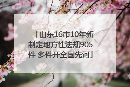 山东16市10年新制定地方性法规905件 多件开全国先河
