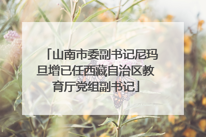 山南市委副书记尼玛旦增已任西藏自治区教育厅党组副书记