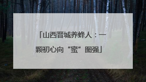 山西晋城养蜂人：一颗初心向“蜜”图强