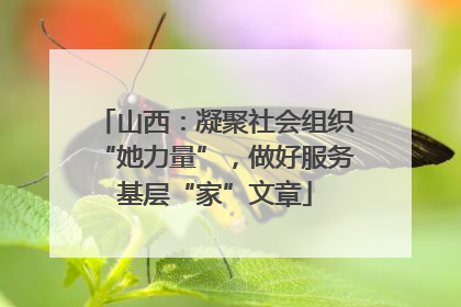 山西：凝聚社会组织“她力量”，做好服务基层“家”文章