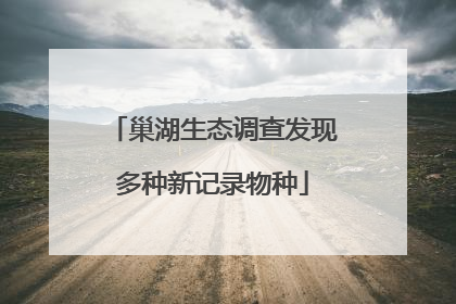 巢湖生态调查发现多种新记录物种