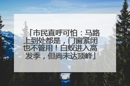 市民直呼可怕：马路上到处都是，门窗紧闭也不管用！白蚁进入高发季，但尚未达顶峰