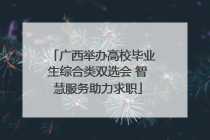 广西举办高校毕业生综合类双选会 智慧服务助力求职