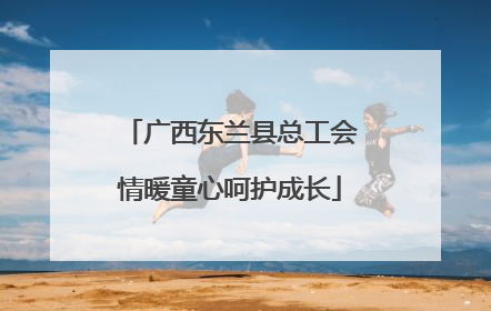 广西东兰县总工会情暖童心呵护成长
