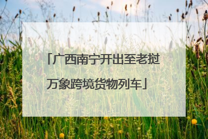 广西南宁开出至老挝万象跨境货物列车