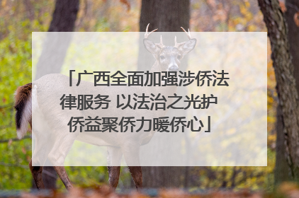 广西全面加强涉侨法律服务 以法治之光护侨益聚侨力暖侨心