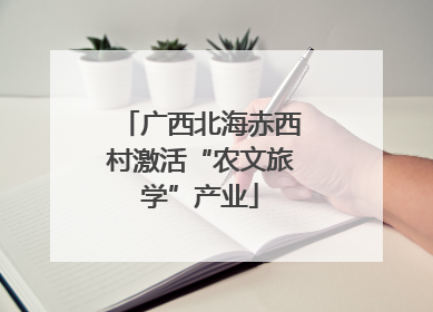 广西北海赤西村激活“农文旅学”产业