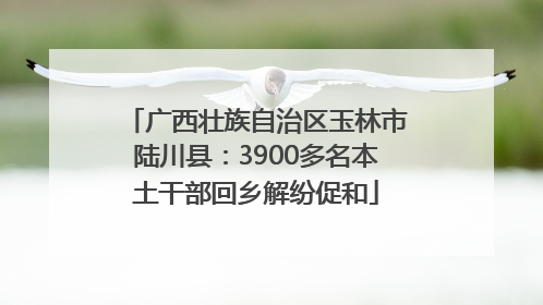 广西壮族自治区玉林市陆川县：3900多名本土干部回乡解纷促和