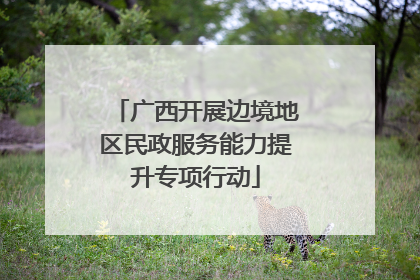 广西开展边境地区民政服务能力提升专项行动