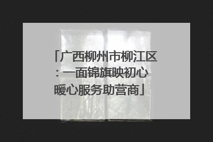广西柳州市柳江区：一面锦旗映初心 暖心服务助营商