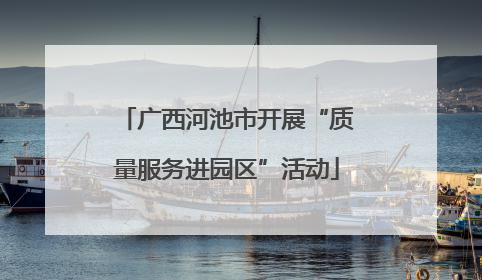 广西河池市开展“质量服务进园区”活动