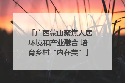 广西蒙山聚焦人居环境和产业融合 培育乡村“内在美”