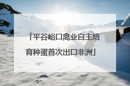 平谷峪口禽业自主培育种蛋首次出口非洲