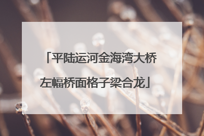 平陆运河金海湾大桥左幅桥面格子梁合龙
