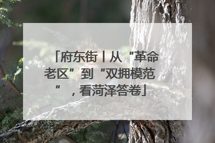 府东街丨从“革命老区”到“双拥模范”，看菏泽答卷