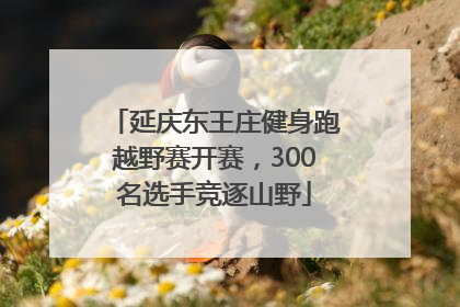 延庆东王庄健身跑越野赛开赛，300名选手竞逐山野