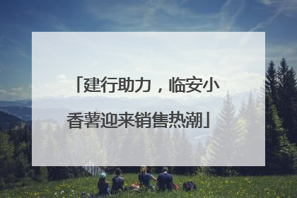 建行助力，临安小香薯迎来销售热潮