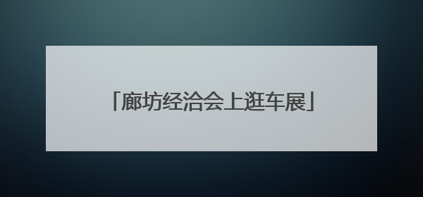 廊坊经洽会上逛车展