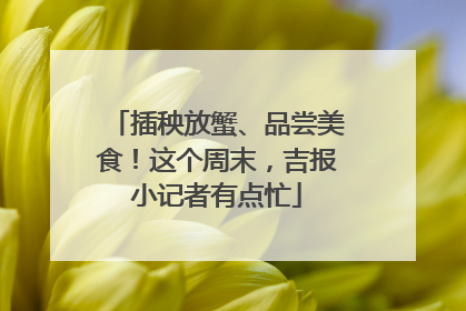 插秧放蟹、品尝美食！这个周末，吉报小记者有点忙